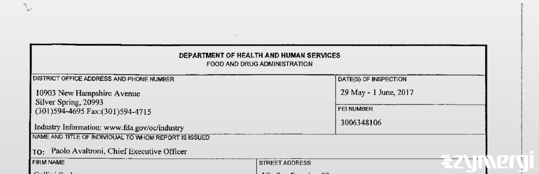 FDANews 483 Gallini SRL Jun 1 2017 top